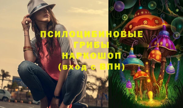 спиды Абаза