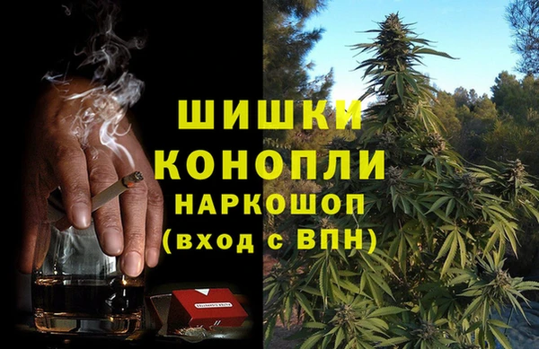 спиды Абаза